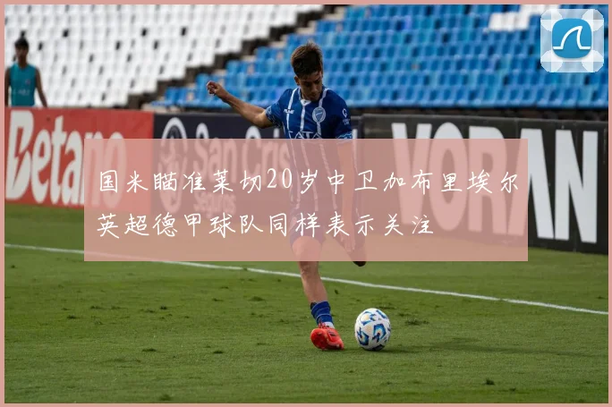 国米瞄准莱切20岁中卫加布里埃尔英超德甲球队同样表示关注